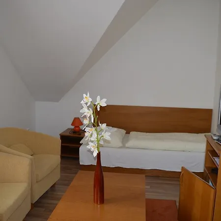 Akademik Hotel